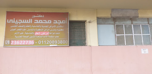 أمجد محمد السجينى