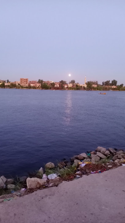 محمد عوض