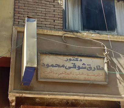 طارق شوقى محمود