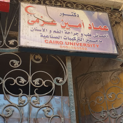 عماد أمين عزمى