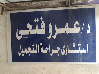 Amr Fathy