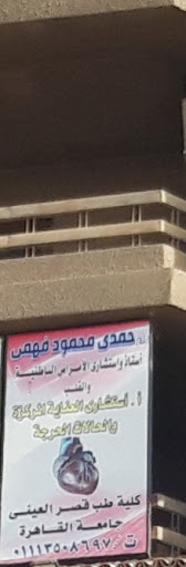 حمدى محمود فهمى