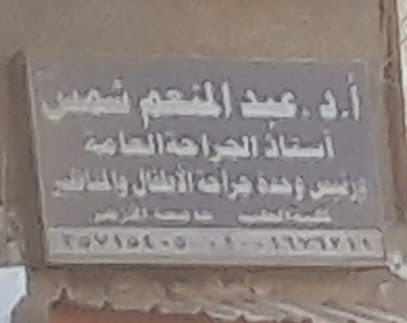 Abdelmoneim Shms