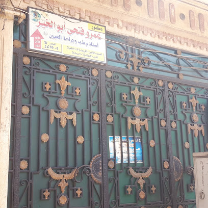 Amr Fathy Abw El-Khyr