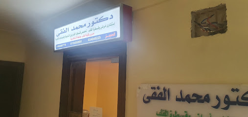 Mohamed Khaled El-Fky