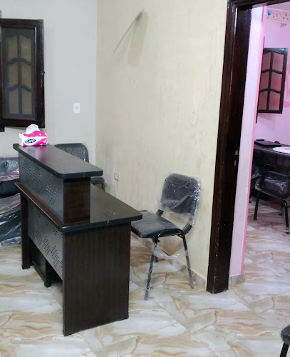 حمدى السيد