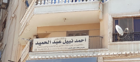 Ahmed Nabil Abdelhamid