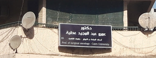 عمرو عبد المجيد عطية