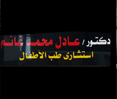 Adel Mohamed Ghanm