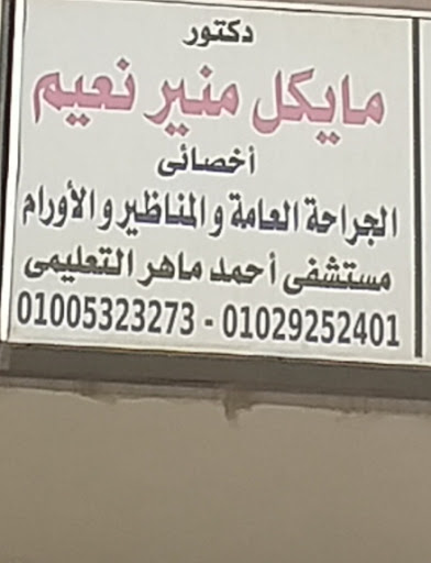 مايكل منير نعيم