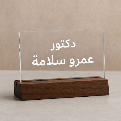 عمرو سلامه