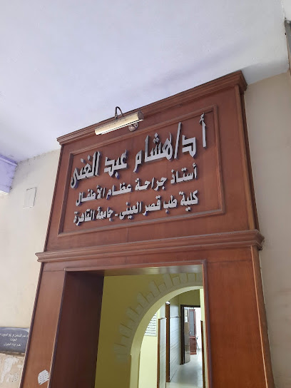 Hesham Abdelghany
