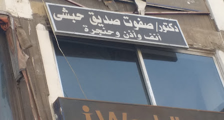 صفوت صديق حبشى