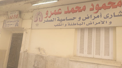 محمود محمد عمرو