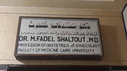 Mohamed Fadl Shltwt