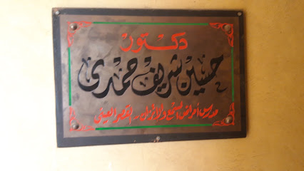 حسين شريف حمدى