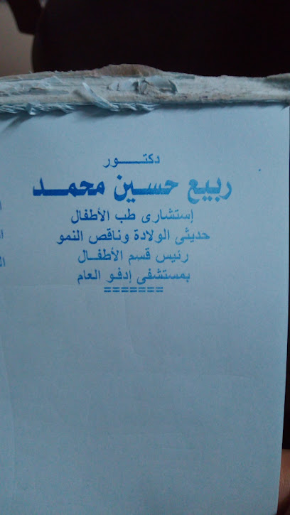 ربيع حسين