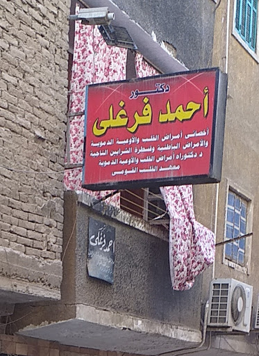 أحمد فرغلى