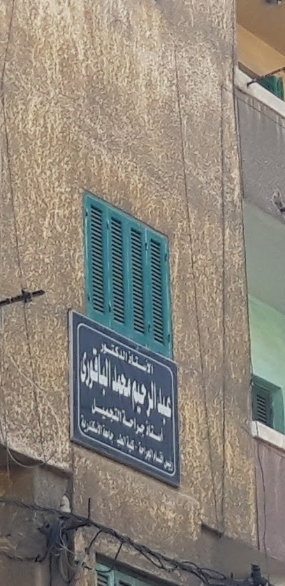 Abdelrahim Mohamed El-Bakwry