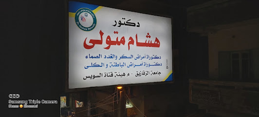 Hesham Metwally