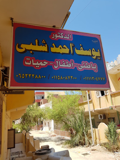 يوسف شلبى