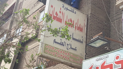 Asmaa Mohamed El-Shhat