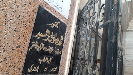 Mohamed Adel El-Sayed