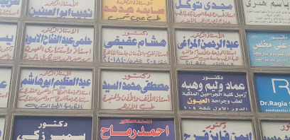 هشام عفيفى