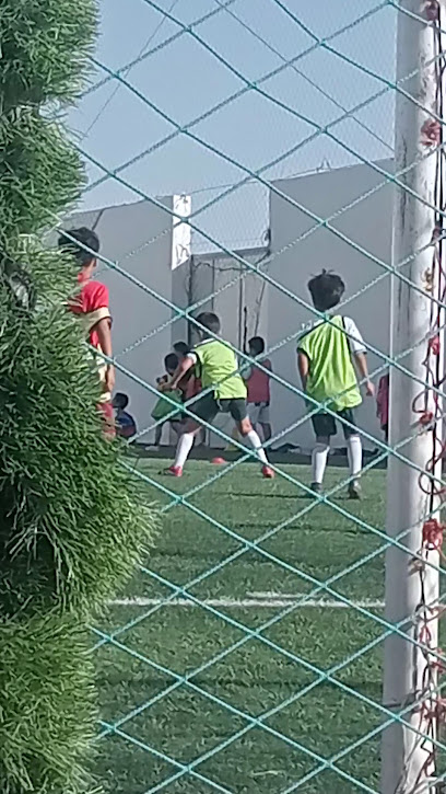 عماد عوني