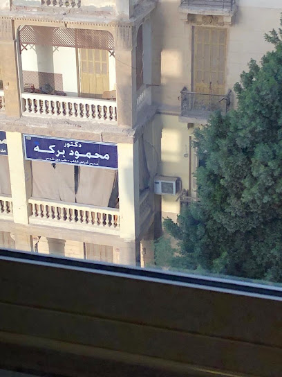 محمود بركه