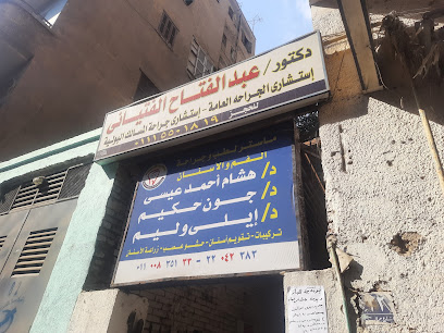 Hesham Ahmed Aysy