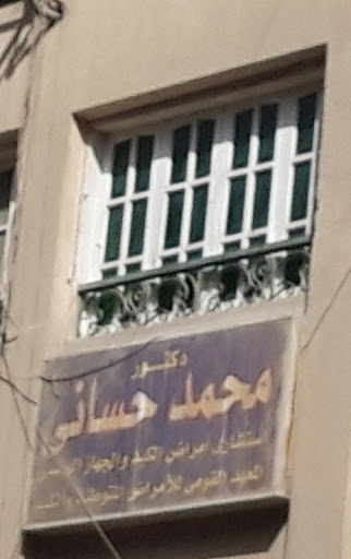 Mohamed Hsany