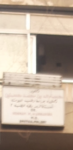 حسام الدين محمد حسنين
