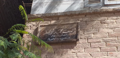 امينة محمد