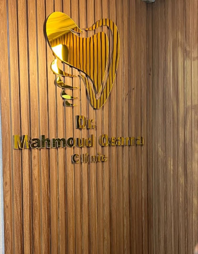 محمود اسامة