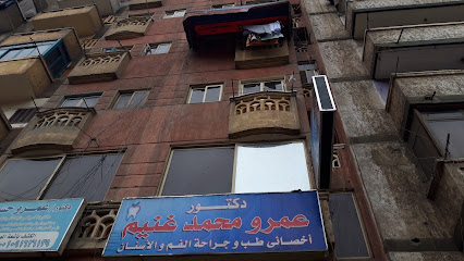 Amr Mohamed Ghoneim