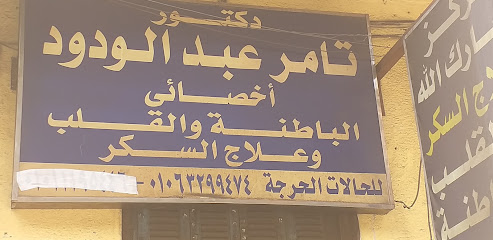 تامر عبد الودود
