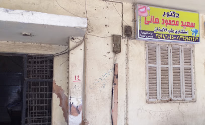 سعيد محمود هانى