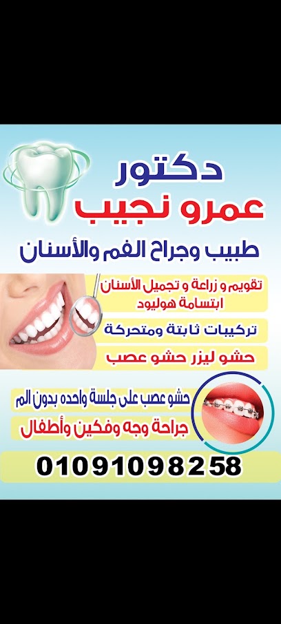 عمرو نجيب