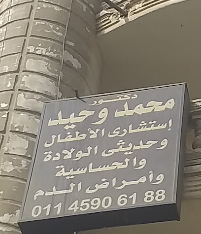 Mohamed Wahid