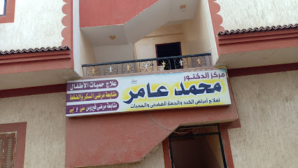 Mohamed Aamr