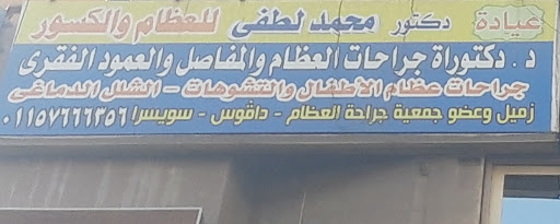 محمد لطفى