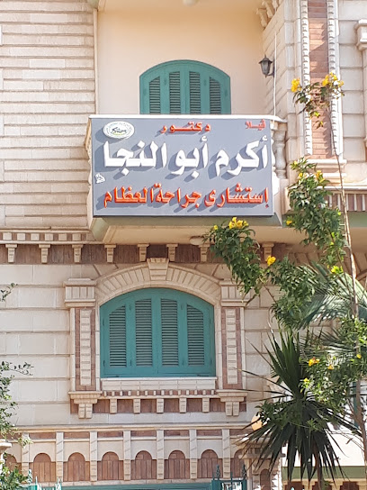 أكرم ابو النجا