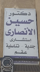 Hussein El-Ansary