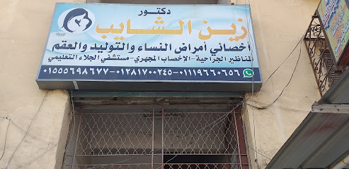 Zyn El-Shayb