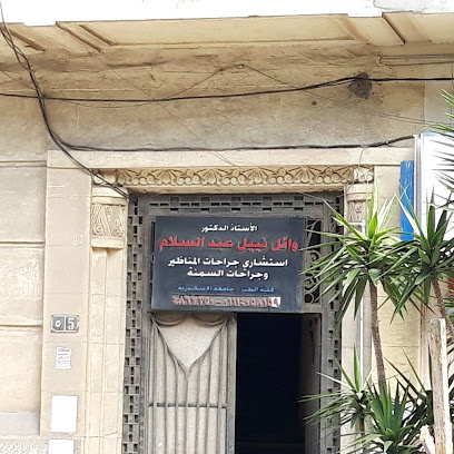 Wael Nabil Abdelsalam