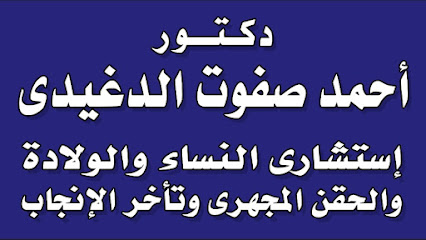 أحمد صفوت الدغيدى