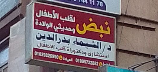 Shaimaa Bdr Eldin