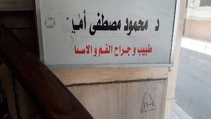 Mahmoud Mostafa Amyn