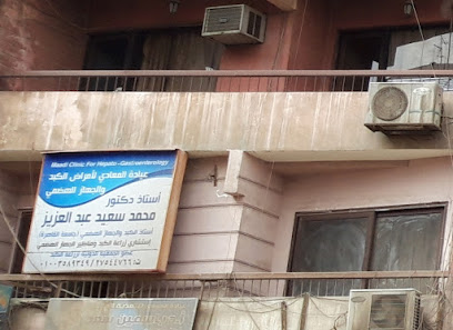 محمد سعيد عبد العزيز